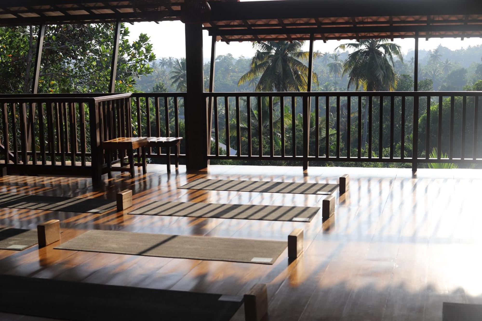 The Jungle View Hotel Mirissa Exterior photo